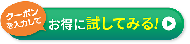 お得に試してみる！ボタン